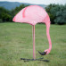 Wildcrete Flamingo feeding